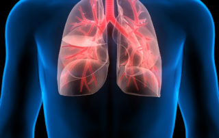 Your Ultimate Guide To Keeping Your Lungs Healthy From Air Pollution